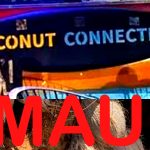 Coconut Connection Kihei Maui Hawaii Fawad Matin Hat Patch 2